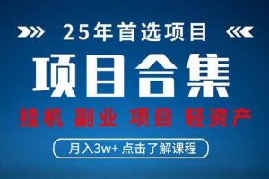 (14175期)2025 实操项目合集 挂机类型 直播类型 轻资产创业类型 课程分享各项目…