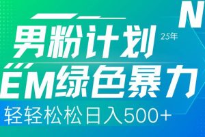 (14174期)25年新男粉计划绿色暴力项目轻轻松松日收500+