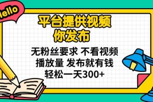 (14171期)平台提供视频 你发布 无粉丝要求 不看视频播放量 发布就有钱 轻松一天300+