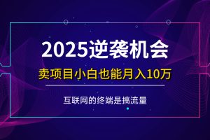 (14122期)项目标题:2025逆袭机会,卖项目小白也能轻松月入10万+