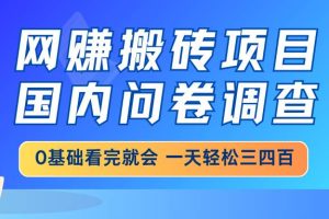 (14578期)网赚搬砖项目,国内问卷调查,0基础看完就会 一天轻松三四百,靠谱副业…