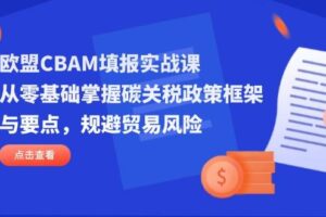 (14342期)欧盟CBAM填报实战课,从零基础掌握碳关税政策框架与要点,规避贸易风险