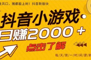 (14319期)抖音小游戏,最新风口项目,亲测单游戏2000+感兴趣点击了解。
