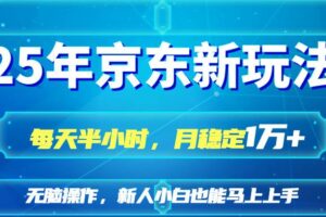 (14309期)25京东新玩法,每天半小时,月稳定1W+