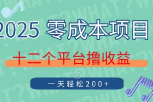 (14302期)2025年零成本项目,十二个平台撸收益,单号一天轻松200+