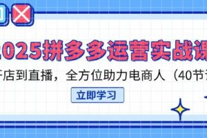(14259期)2025拼多多运营实战课,从开店到直播,全方位助力电商人(40节课)