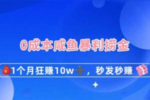 (14257期)0成本闲鱼暴利捞金,1个月狂赚10W+,秒发秒赚新玩法