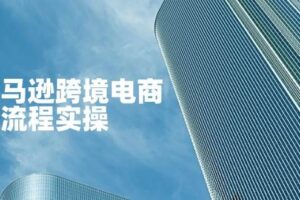 (14252期)亚马逊跨境电商全流程实操,教你从零开始,掌握店铺运营与广告技巧