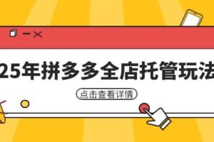(14222期)25年拼多多全店托管玩法,矩阵动销裂变玩法如何低风险盈利 新手运营秘籍