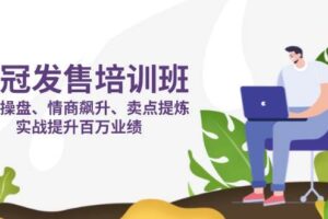 (14203期)销冠 发售培训班:发售 操盘+情商 飙升+卖点 提炼,实战提升百万业绩