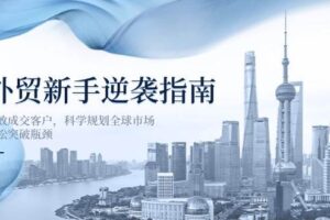 (14201期)外贸新手逆袭指南:高效成交客户,科学规划全球市场,轻松突破瓶颈