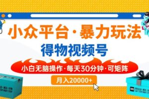 (14194期)小众平台暴力玩法,一键搬运爆款视频,可矩阵小白无脑操作,每天30分钟…