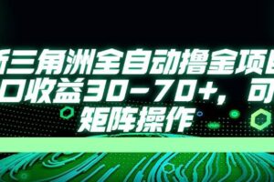 (14191期)最新三角洲全自动撸金项目,单窗口收益30-70+,可批量矩阵操作