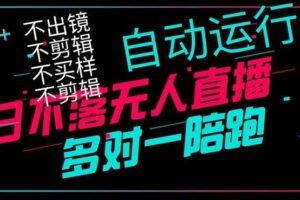 （14432期）日不落无人直播、让你赚到手软，不出镜 不剪辑 不囤货  不买样日赚1000…