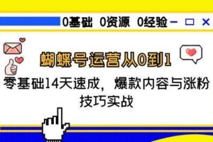 （15125期）蝴蝶号运营从0到1，零基础14天速成，爆款内容与涨粉技巧实战