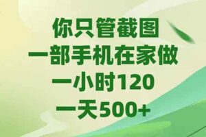 （15039期）你只管截图，一部手机在家做，一小时120，-天500+