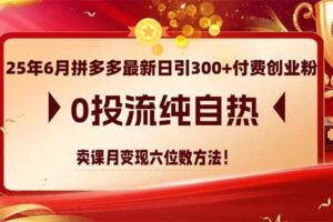 （14989期）25年6月拼多多最新日引300+付费创业粉，0投流纯自热 卖课月变现六位数方法