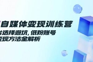 （14966期）AI自媒体变现训练营，平台选择避坑，低粉账号高变现方法全解析