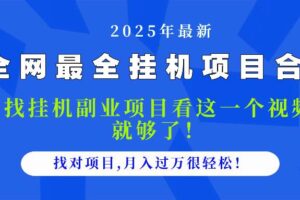 （14804期）2025最全挂机项目合集 找项目看这一个视频就够了，做对项目月入过万很…
