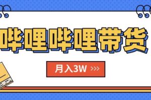 （15597期）B站哔哩哔哩带货秘籍，新风口，抢占红利，单月轻松破万【附SOP手册】