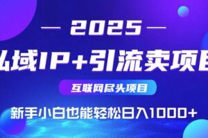 （15531期）2025网创尽头项目，私域IP+引流，新手小白也能在家日入1000+