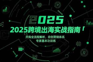 （15503期）2025跨境出海实战指南，并购全流程解析，自创营销体系，专家基本功训练