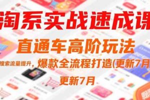 （15374期）淘系实战速成课，直通车高阶玩法，搜索流量提升，爆款全流程打造(更新7月)