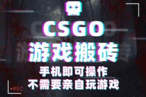 （16090期）CSGO游戏挂机捡漏，单日扫货500+，年底小高峰上车可吃肉，手机即可操作…