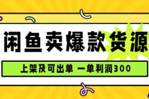 （15977期）闲鱼卖爆款货源，每天利润1000，上架即出单