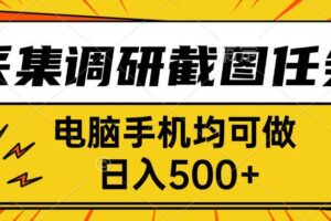 （15868期）采集，调研，截图任务，电脑手机均可做，日入500+