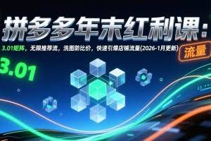 （17100期）拼多多年末红利课：3.01矩阵，无限推荐流，洗图防比价，快速引爆店铺流量(2026-1月更新)
