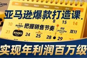 （17021期）亚马逊爆款打造课，大促节点、全年规划、淡旺季打法，把握销售节奏，实现年利润百万级