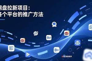 （16971期）网盘拉新项目：各个平台的推广方法，公众号、截留玩法，微博，B站，百度智能体