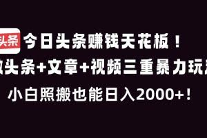 （16888期）今日头条赚钱天花板！微头条+文章+视频三重暴利玩法，小白照搬也能日人2000+