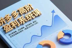 （16843期）拼多多高阶盈利系统课，强付费策略、活动爆破、首页推荐，实现店铺稳定盈利（更新12月）