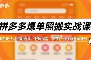 （16838期）拼多多爆单照搬实战课，类目玩法、活动选择、避坑指南，新手小白快速出单赚钱