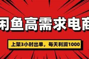 （16672期）闲鱼高利润电商，当天上架当天出单，一单利润300