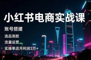 （16615期）小红书电商实战课，账号搭建，选品测款，流量运营，实操月利润3万+