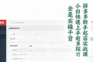 （16584期）拼多多新手起店实战课：小白快速上手拼多多运营，避开踩坑，全是实操干货