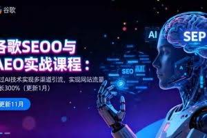 （16463期）谷歌SEO与AEO实战课程：通过AI技术实现多渠道引流，实现网站流量增长300%