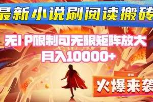（16237期）小说阅读搬砖单机每天收益200-400+ 无IP限制可无限矩阵放大 —