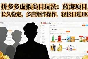 （16236期）拼多多虚拟类目玩法，蓝海项目，长久稳定，多店矩阵操作，轻松日进1K+