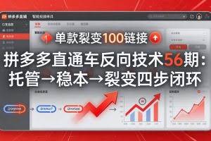 （17737期）拼多多直通车反向技术56期：托管→稳本→裂变四步闭环，单款裂变100链接抢占核心流量