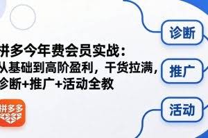 （18179期）拼多多年费会员实战(更新26年4月24)：从基础到高阶盈利，干货拉满，诊断+推广+活动全教